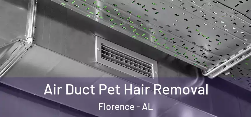  Air Duct Pet Hair Removal Florence - AL