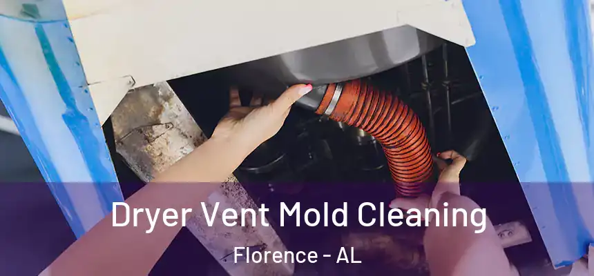 Dryer Vent Mold Cleaning Florence - AL