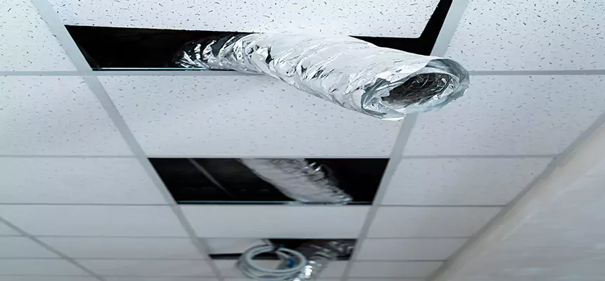 Our Air Duct Pet Hair Removal Services in Florence, AL