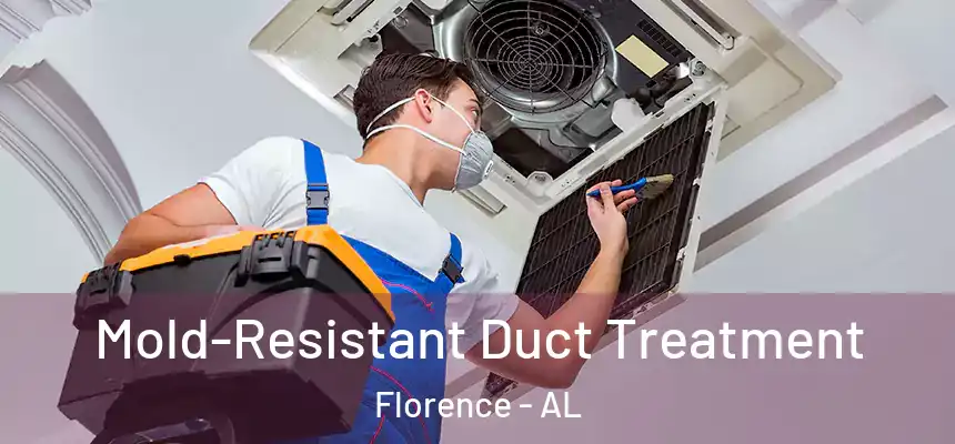 Mold-Resistant Duct Treatment Florence - AL