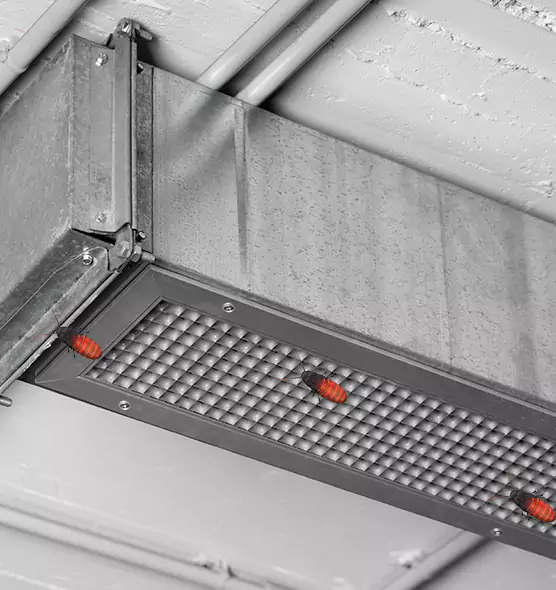 About Air Duct Cockroach Removal in Florence, AL
